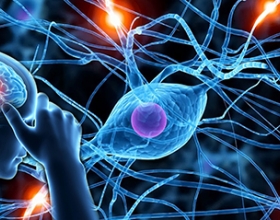 Bản tin y tế: Ô nhiễm không khí làm gia tăng nguy cơ mất trí nhớ?